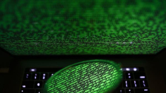 Estafan más de 400.000 euros en compras online con claves alojadas en la internet profunda