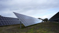España lidera el crecimiento de la producción de energía solar en Europa por segundo año