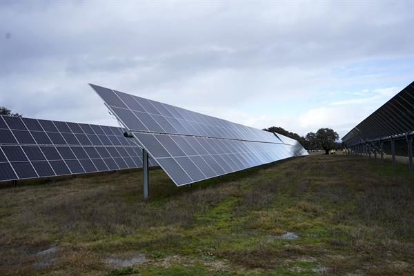 Imagen de archivo de una planta solar en España. EFE/EDUARDO PALOMO

