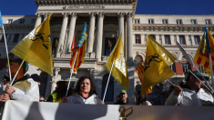 Alarma en el sector agrícola español ante la firma del acuerdo con Mercosur