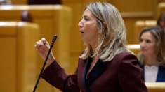 El Senado insta al Gobierno a subir las pensiones y bonificar el transporte público