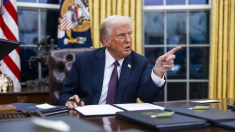 Trump critica que la aportación de España a la OTAN es «muy baja»