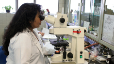 Científicos españoles desvelan los factores que impulsan el osteosarcoma