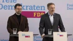 Exministro alemán reflexiona sobre las críticas de JD Vance a Europa