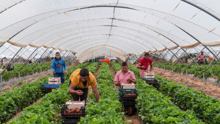 Asociación de agricultores rechaza la reducción de la jornada laboral: «No responde a la realidad del campo»