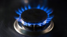 La UE recurre al gas estadounidense y a las energías renovables para llenar el vacío dejado por la energía rusa