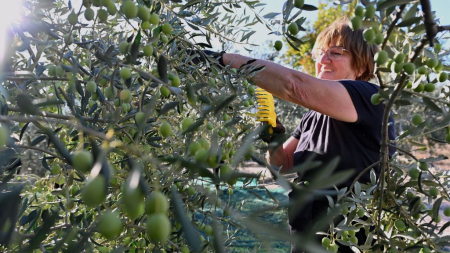 ¿Como afecta a los agricultores el recorte de la PAC que anuncia la UE?