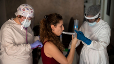 La UE sugiere causas por el auge de enfermedades pulmonares micóticas mortales similares a la gripe