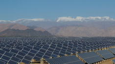 ¿Trabajo forzado en la fabricación de paneles solares chinos importados a Europa?