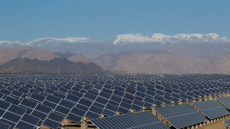 Un campo de paneles solares en la Región Autónoma Uigur de Xinjiang, en el noroeste de China. (STR/AFP vía Getty Images)