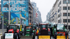 Análisis: Estrategia de apaciguamiento de Europa en la agricultura no convence