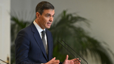 Preguntan a Sánchez cómo aplicará el nuevo Observatorio de Derechos Digitales