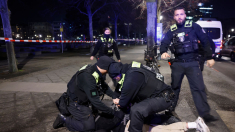 Sospechoso de ataque con cuchillo a turista español es un joven sirio que quería «dar muerte a judíos»