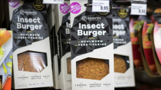 Estos alimentos podrían contener insectos muy pronto