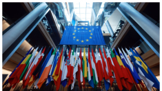 Los eurodiputados expresan su preocupación por el posible euro digital