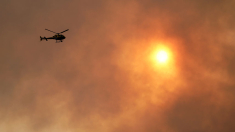 Asturias activa fase de emergencia ante 20 incendios simultáneos: se teme un factor humano