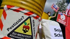 España sigue exportando plaguicidas prohibidos: Estos países recibieron 17.000 toneladas de 10 proveedores