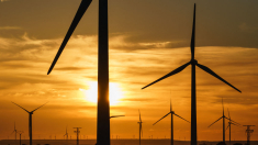 La energía eólica de España: 22 200 turbinas esparcidas en 860 municipios