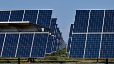 Empresa estatal china CTG se afirma en España con la compra del megaproyecto fotovoltaico Mula