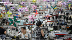 Europa recibe una avalancha de paquetes chinos peligrosos y sospechosos de trabajos forzados