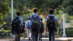 Madrid y Murcia son algunas de las comunidades que limitarán el uso pantallas digitales en colegios