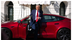 Trump afirma que no ve posibilidad de recesión y no le preocupa la caída del mercado