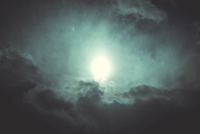 (Imagen compartida por Rondell Melling de Pixabay)