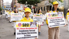 EE. UU: Reintroducen Ley de Protección de Falun Gong para combatir la sustracción forzada de órganos