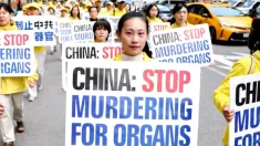 La sustracción forzada de órganos en la China comunista en el punto de mira mundial