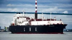La UE estudiará inversiones en GNL en el extranjero para reducir precios récord energía