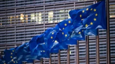 Cómo las ONG hacen política en Europa