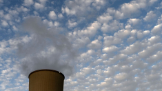 Gobierno autoriza a ENRESA iniciar ingeniería para el desmantelamiento de la central nuclear de Almaraz