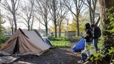 Solicitud de asilo: la UE elabora una lista de siete países de inmigración considerados «seguros»