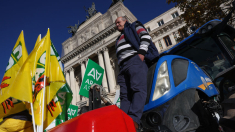 Agricultores españoles llevan sus tractores a Bruselas en rechazo al Pacto Verde