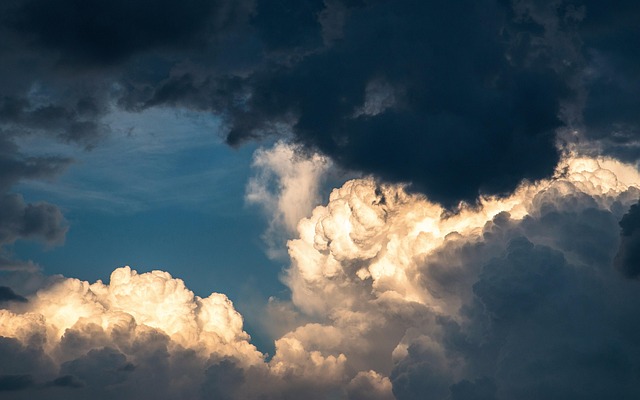 (Imagen de Džoko Stach from Pixabay)