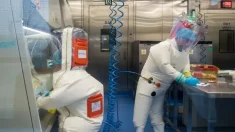 EE. UU. modifica su sitio web sobre COVID-19 y sugiere que el virus proviene de un laboratorio chino