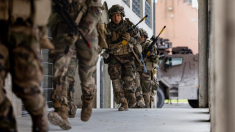 Soldados franceses y británicos entrenan en combate urbano, basándose en el conflicto ucraniano