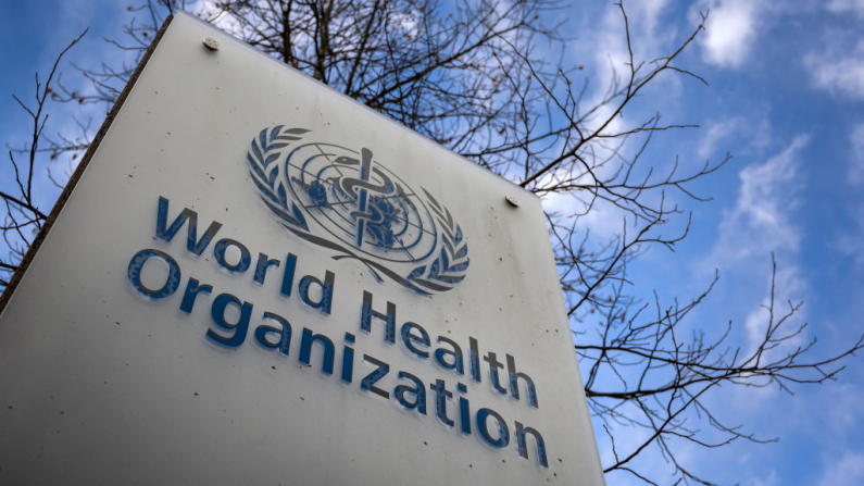 Los miembros de la Organización Mundial de la Salud se reúnen esta semana en Ginebra. Foto: iStock