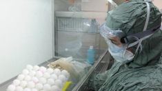 La UE reserva 27 millones de dosis de vacunas contra la gripe y concede autorización para «circunstancias excepcionales».