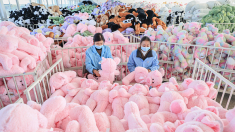 Marsella: incautan 6000 peluches «peligrosos para la salud» importados de China
