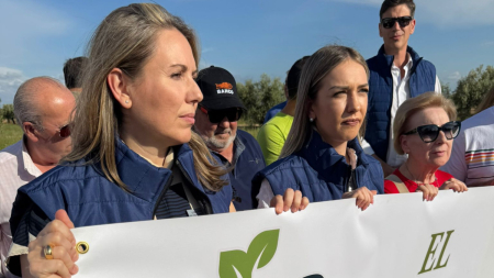 Natalia Corbalán sobre la tala de olivos centenarios en Jaén: «Energías renovables sí, pero no así»