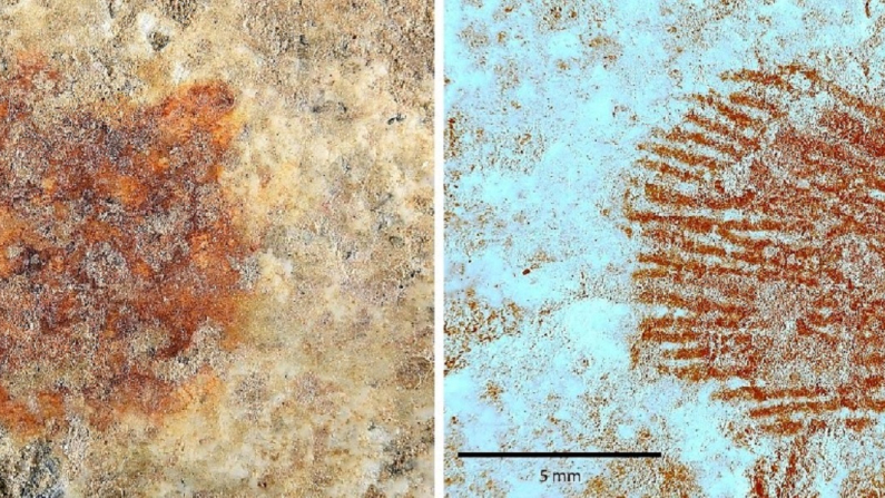 Detalle del punto rojo (izquierda) y la imagen dermatoglífica obtenida mediante el análisis multiespectral del punto rojo (derecha). / Álvarez-Alonso et al. (Pertenece al estudio titulado  “More than a fingerprint on a pebble: A pigment-marked object from San Lázaro rock-shelter in the context of Neanderthal symbolic behaviour”. Imagen compartida por csic.es