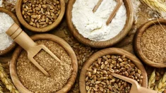 Descubra estas tres variedades de cereales ancestrales