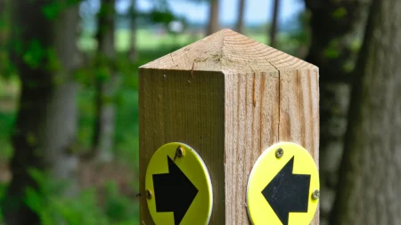 El significado de derecha e izquierda