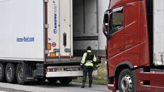 Exclusiva: la fiebre aftosa se introdujo en Europa desde Turquía