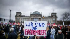 Qué opina el mundo sobre la clasificación de «extrema derecha» de Alternativa por Alemania