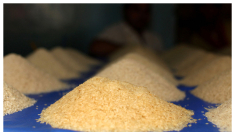 Arroz de Birmania y pimientos de Marruecos: ASAJA dice que peligra la producción nacional