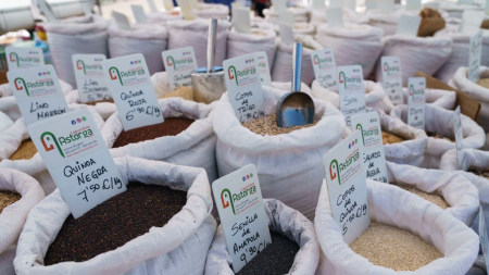 Caen los precios de cereales afectando a los productores españoles