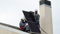 Cae el autoconsumo fotovoltaico ante «trabas, burocracia e indisponibilidad de la red»