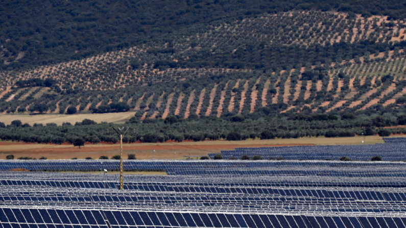Esta imagen, tomada el 6 de julio de 2023, muestra el Parque Solar Fotovoltaico Picón I, un proyecto de energía solar fotovoltaica de 50 MW, propiedad de la empresa española Naturgy y desarrollado por ella, en Porzuna, Castilla-La Mancha. (Foto de OSCAR DEL POZO / AFP) (Foto de OSCAR DEL POZO/AFP vía Getty Images)